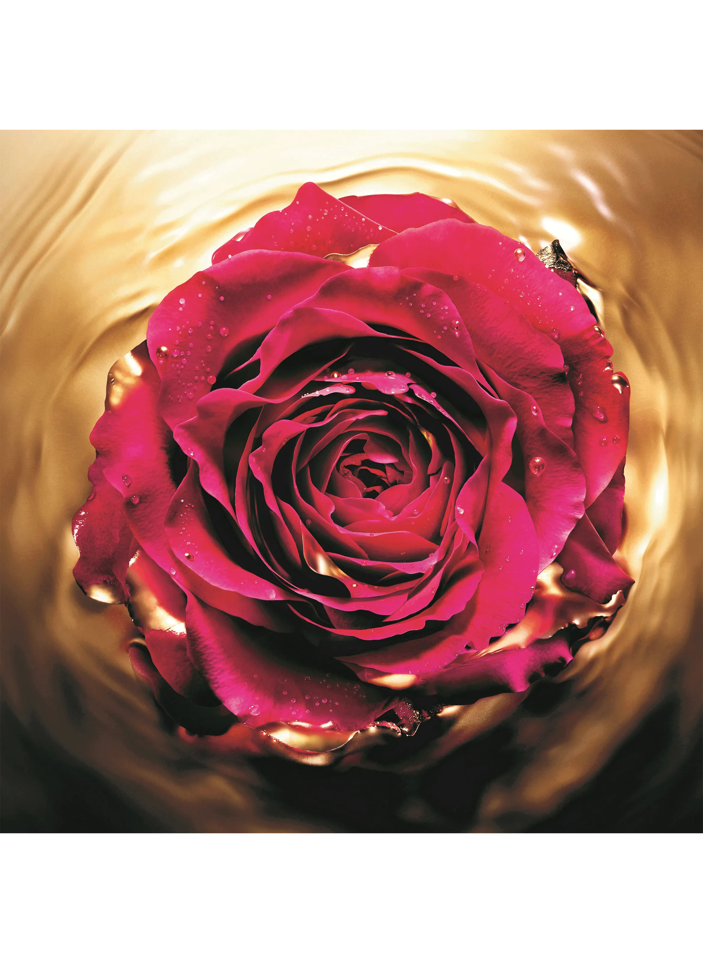 Lancome  Absolue revitalising eye cream