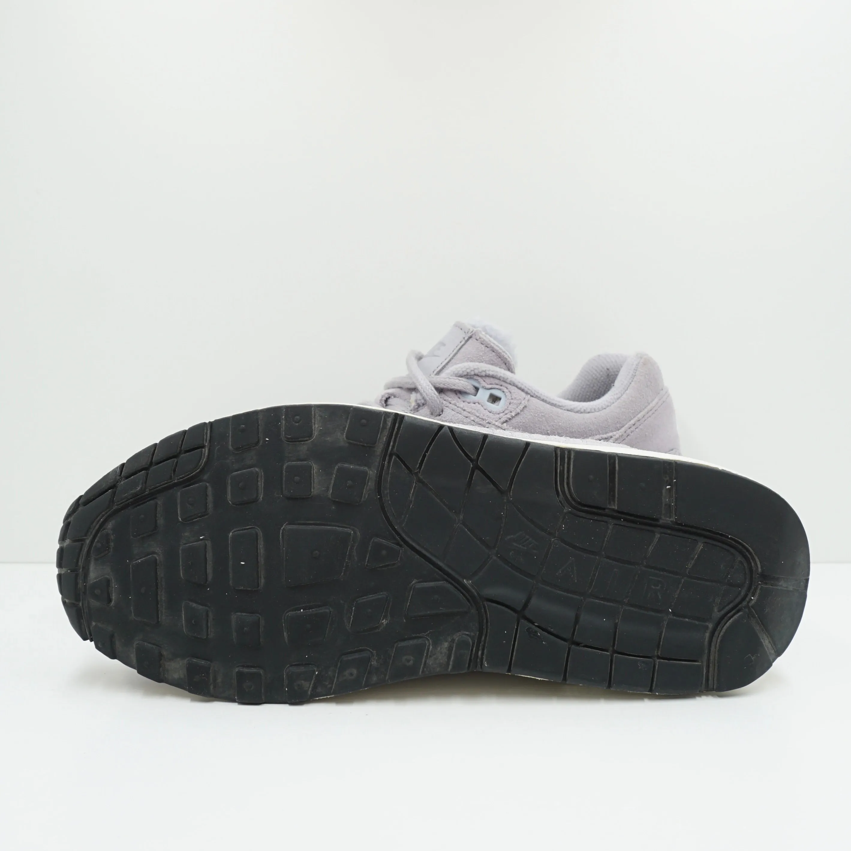 Nike Air Max 1 PRM Provence Purple (W)