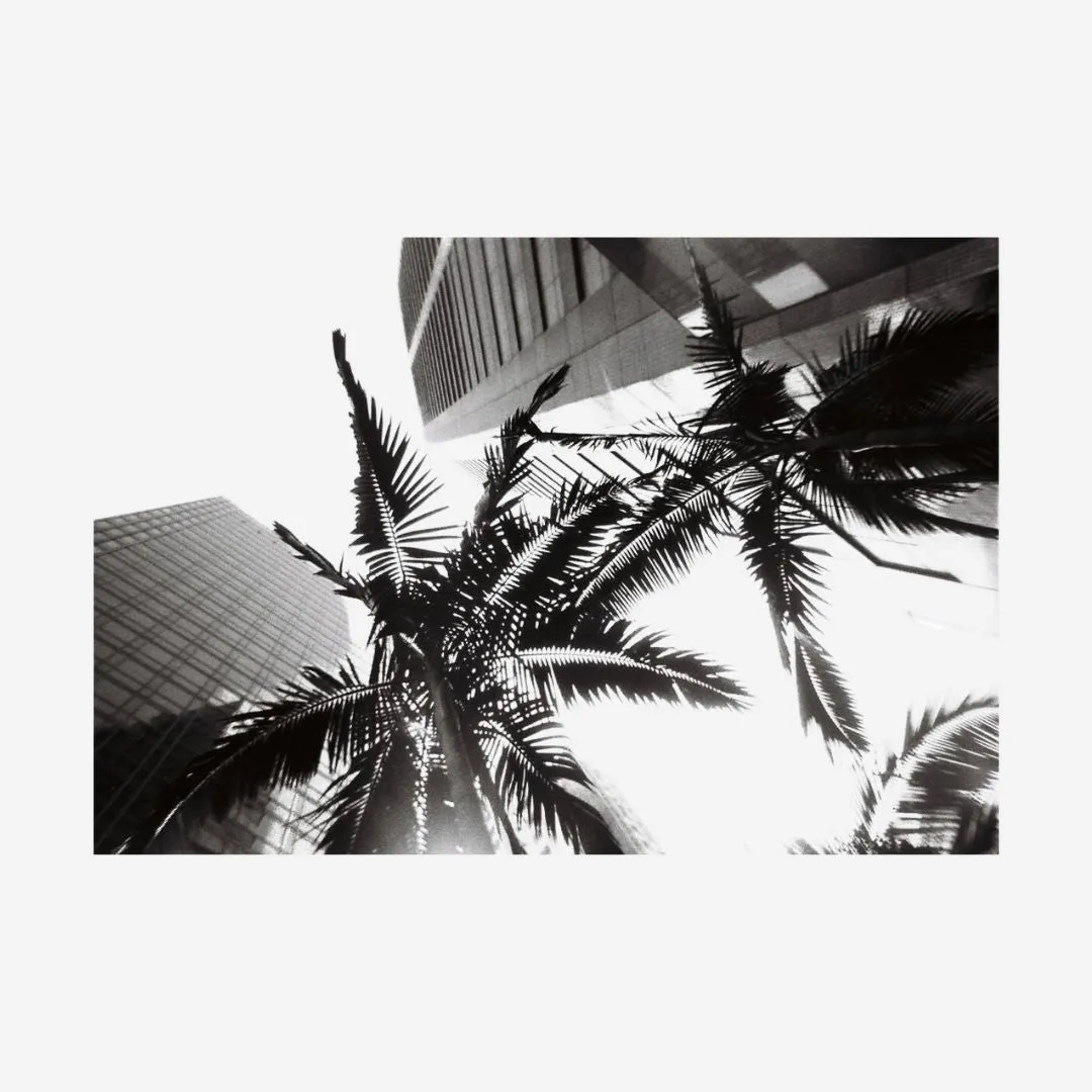 Simple Use Reloadable Film Camera (Black & White)