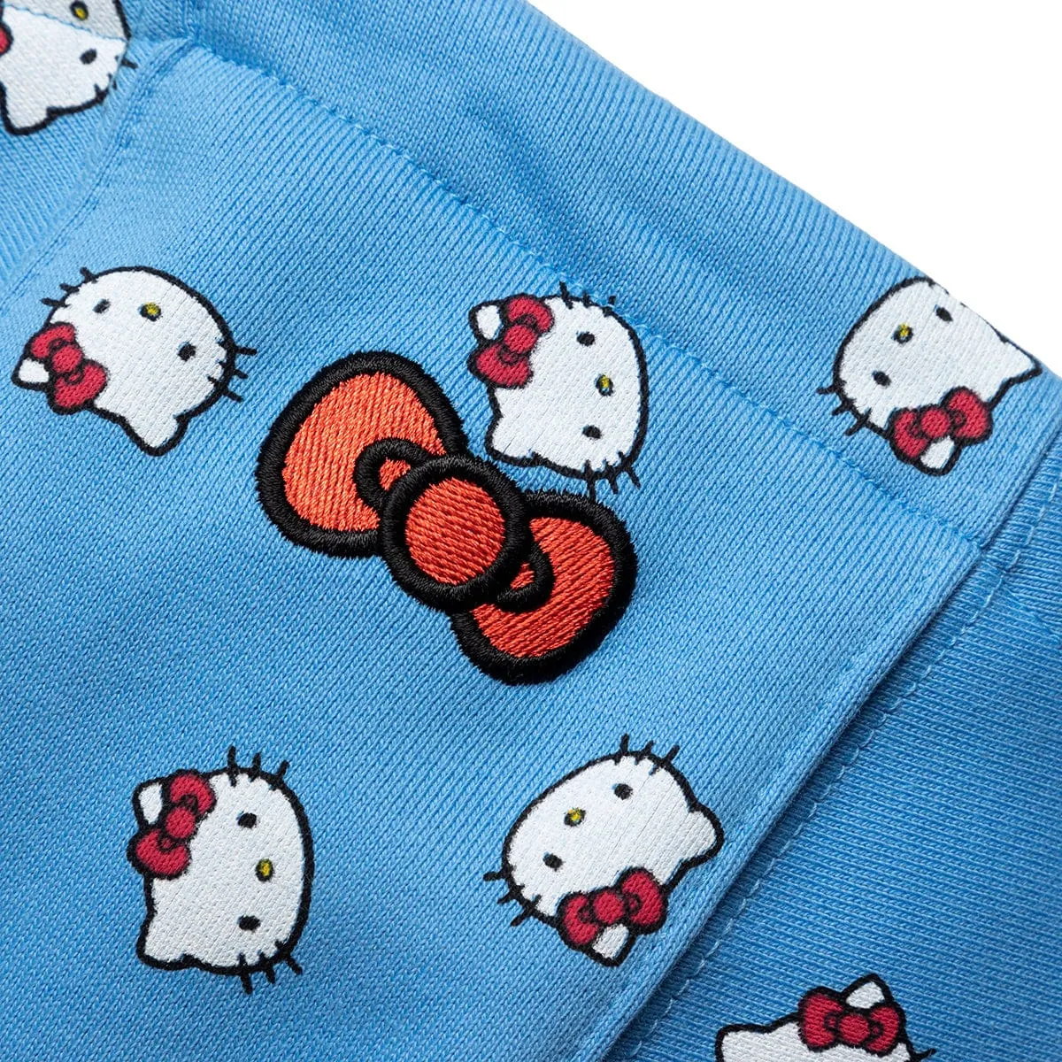 X HELLO KITTY HOODIE [DR5515-412] | Bodega